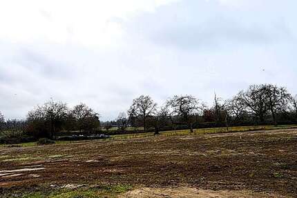 Grundstück Muggensturm - 249.000&euro; | Angebot:24210708