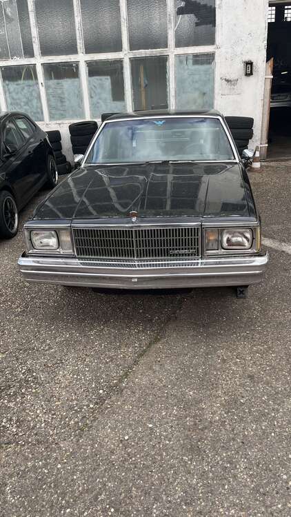 El Camino