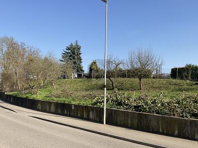 BAUPLATZ FÜR EIN MEHRFAMILIENHAUS - Grundstück Walzbachtal | Angebot:26270185