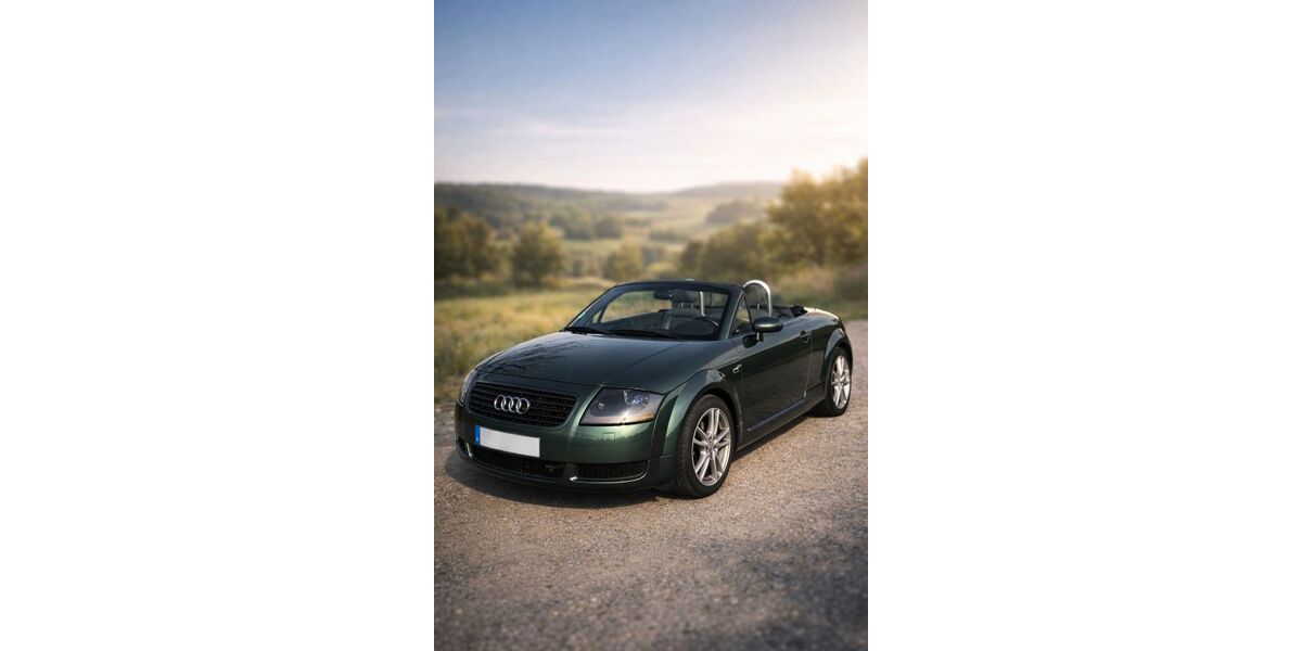 Audi TT 114.400 km 14.900 &euro; Ispringen 75228
