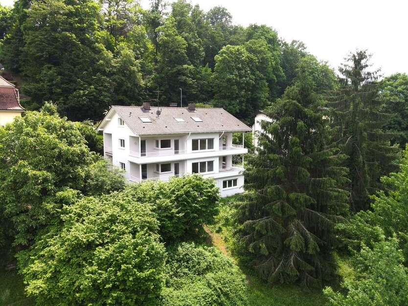 Haus zum Kaufen in Baden Baden 1.570.000 € 482 m²
