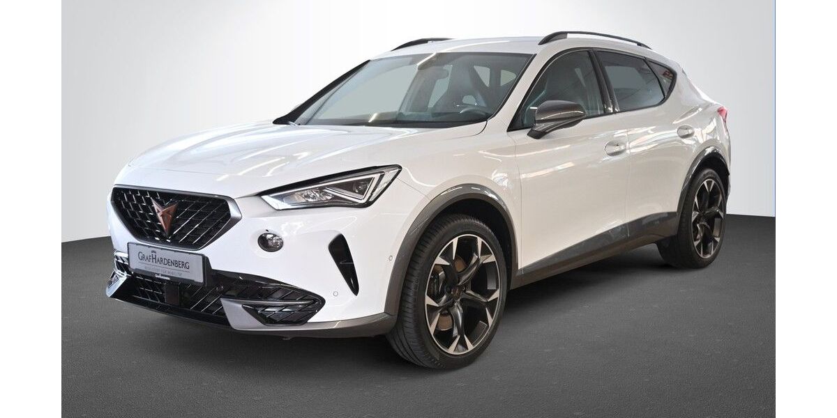 Cupra Formentor 45.900 km 27.990 &euro; Karlsruhe 76131