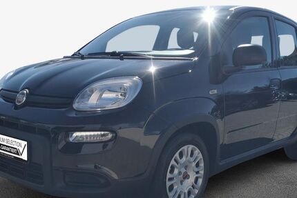 Fiat Panda 18.292 km 11.280 € Landau 76829