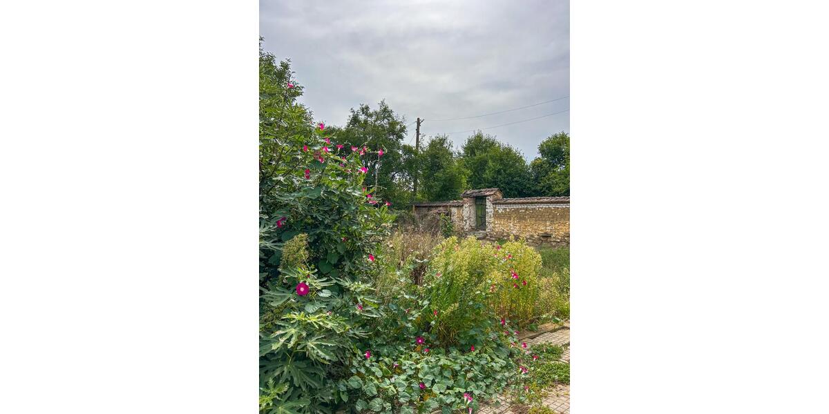 Verkaufe altes Ferienhaus in Bulgarien 5 zimmer