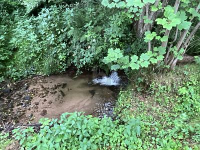2380 QM WOHNEN AM BACH UND WALD ZUM ENTSPANNEN