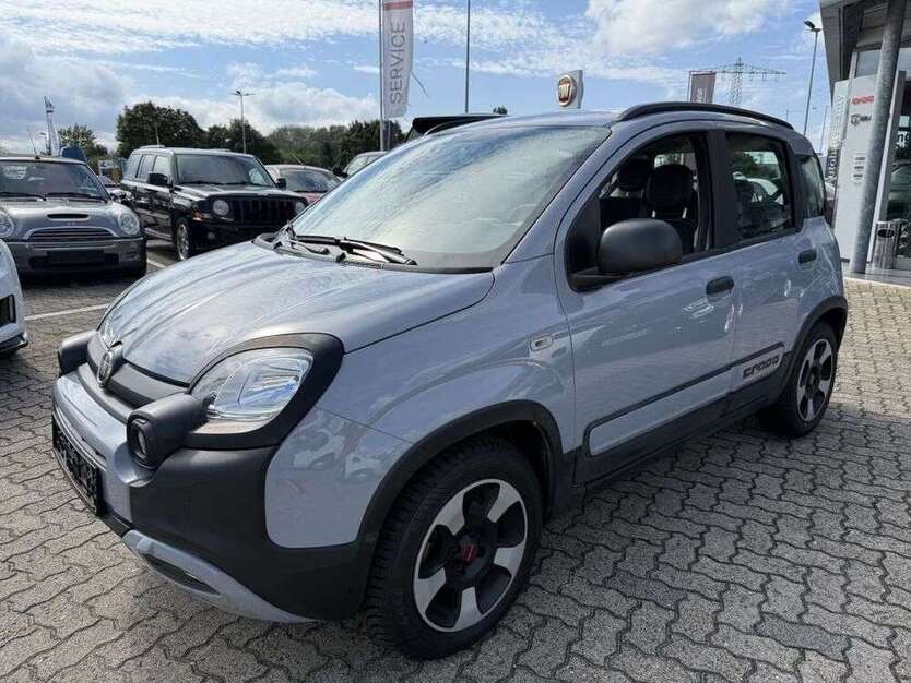 Panda