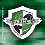 TSV Hannover-Burgdorf - SG Flensburg-Handewitt