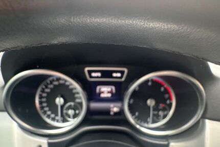Mercedes-Benz ML 350 222.500 km 16.200 &euro; Waghäusel 68753