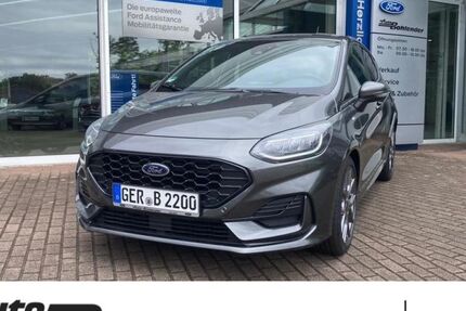 Ford Fiesta 8.000 km 25.990 &euro; Kandel 76870