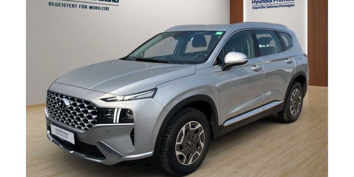 Hyundai SANTA FE 36.170 km 32.290 € Landau 76829