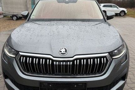 Skoda Kodiaq 212.247 km 19.990 &euro; Karlsruhe 76199