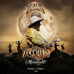Premium Paket Loge - Zucchero
