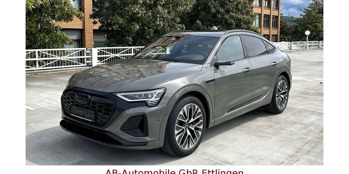 Audi Q8 43.172 km 53.900 &euro; Ettlingen 76275