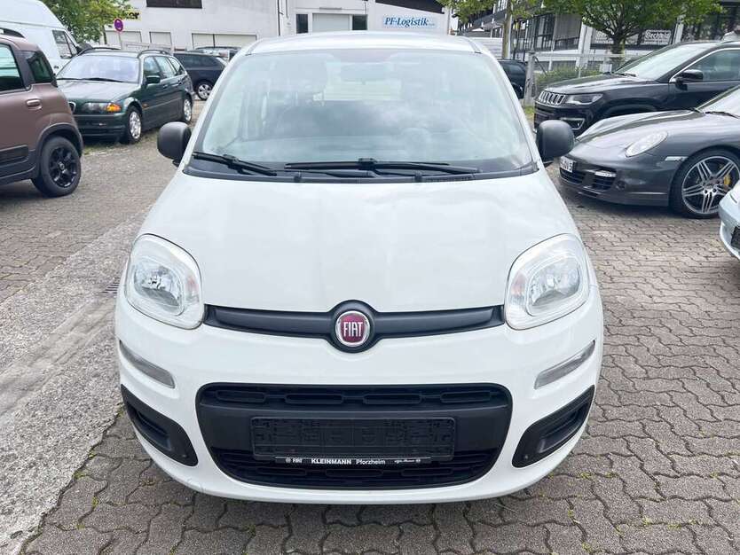 Panda