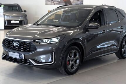Ford Kuga 25.200 km 34.850 &euro; Landau 76829