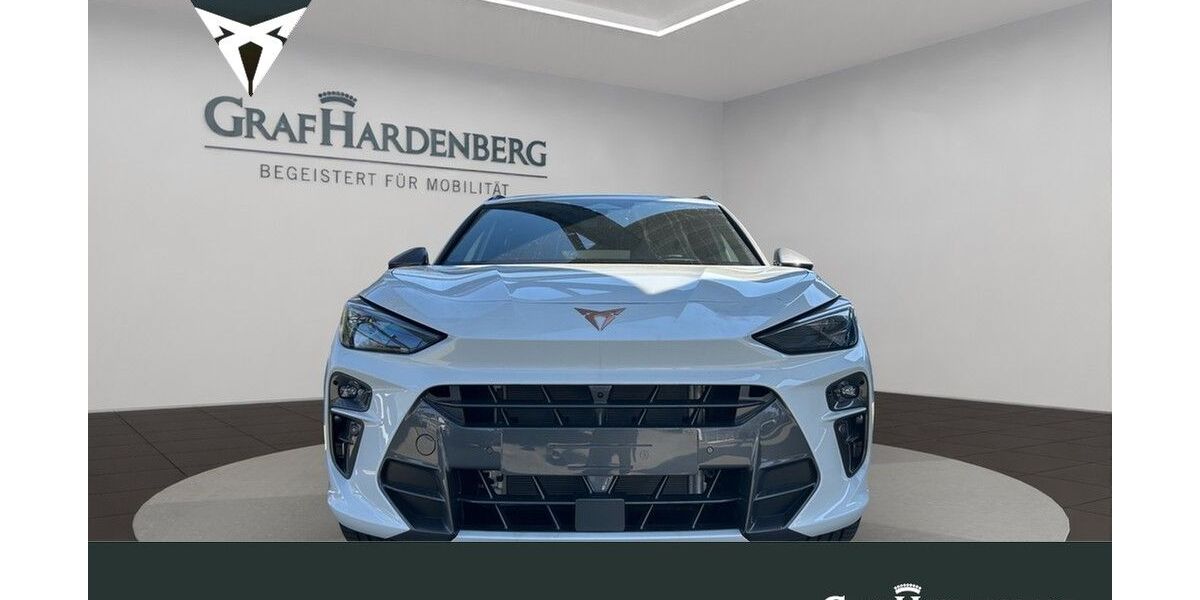 Cupra Terramar 9.000 km 41.790 &euro; Karlsruhe 76131