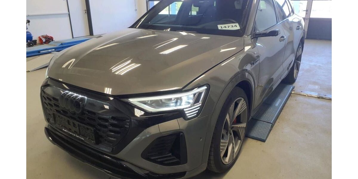 Audi Q8 e-tron 52.834 km 46.900 &euro; Ettlingen 76275