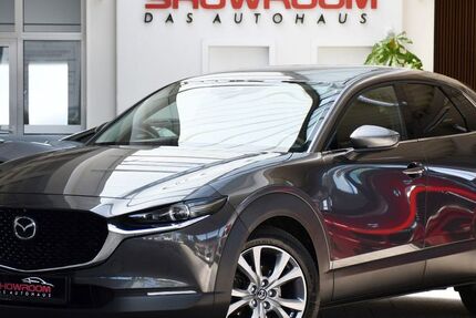 Mazda CX-30 109.890 km 15.900 &euro; Waghäusel 68753