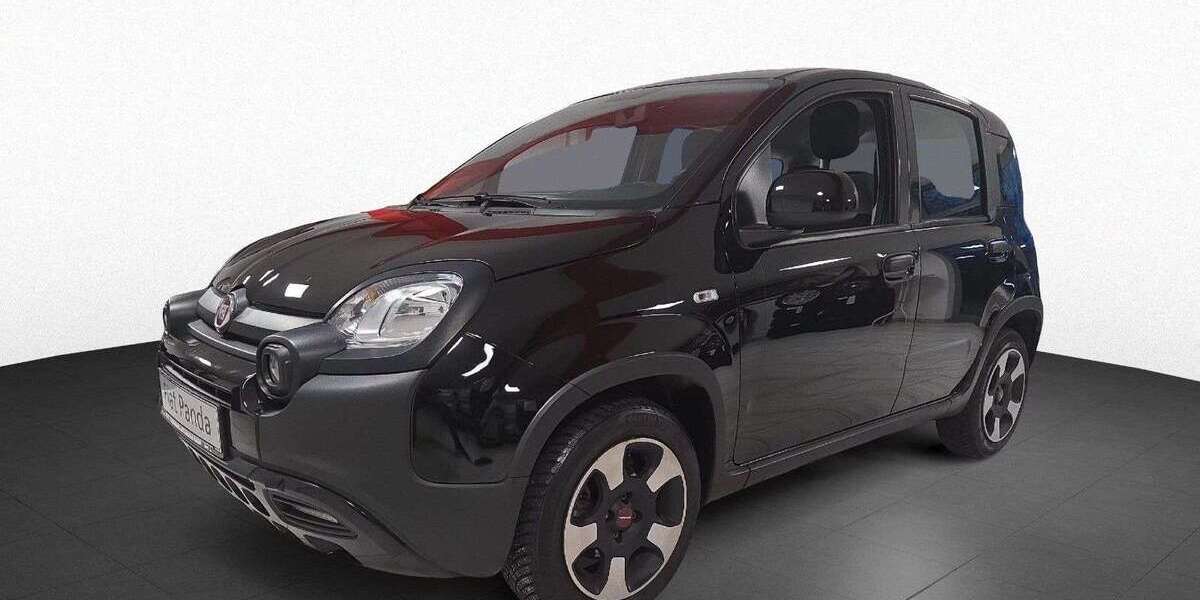 Fiat Panda 44.450 km 10.990 &euro; Pforzheim 75179