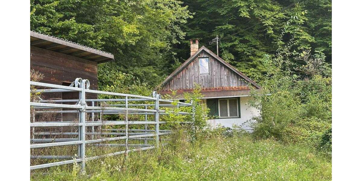 Traumgrundstück mit kleinem Wohn- und Wochenendhaus zimmer