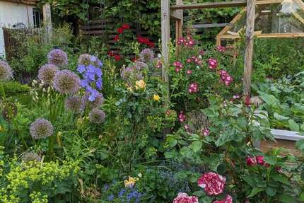 Haus Birkenfeld - 7 Zimmer, 160 m&sup2;, 469.000&euro; | Angebot:26065342