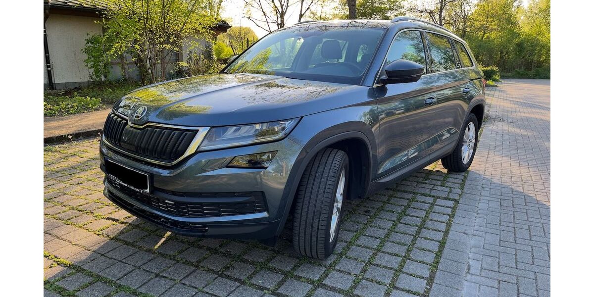 Skoda Kodiaq 119.390 km 16.800 &euro; Bruchsal 76646