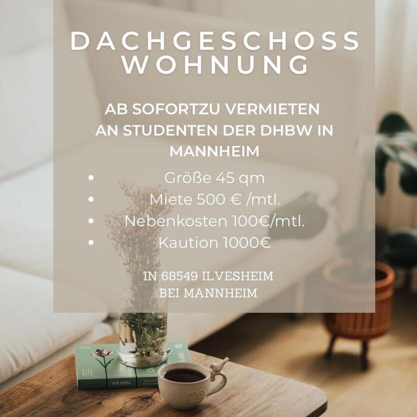 Biete hier DG-Wohnung in Ilvesheim, NUR an DHBW StudentInnen