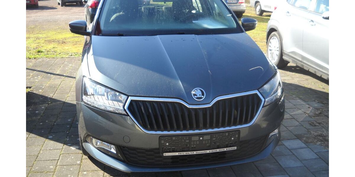 Skoda Fabia 81.500 km 12.900 &euro; Steinweiler 76872