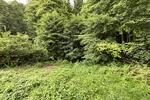 2380 QM WOHNEN AM BACH UND WALD ZUM ENTSPANNEN
