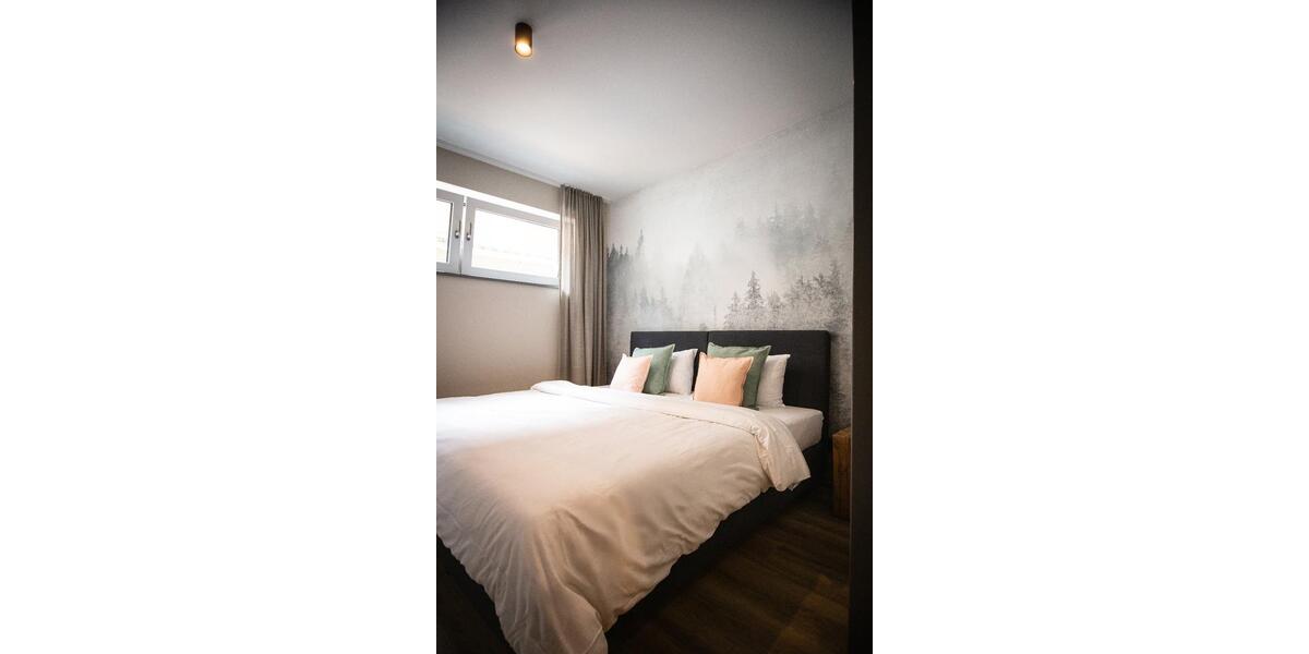 großes Apartment, 2 Zimmer, möbliert mit Balkon, Flatratemiete 2 zimmer