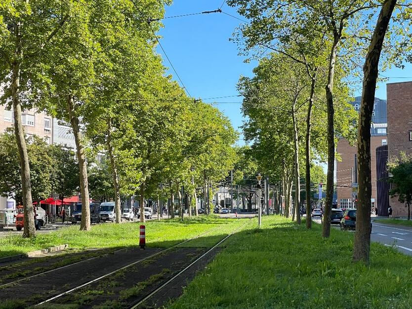 ### Geschmackvolles großzügiges Wohnen am Kronenplatz ### 4.5 zimmer