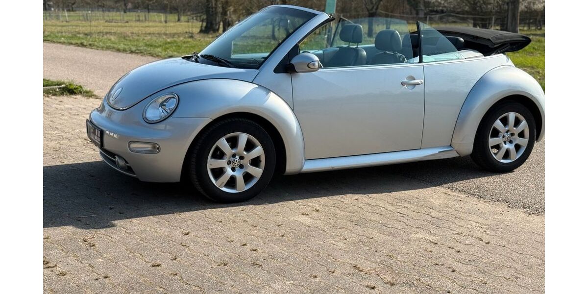 VW New Beetle 240.000 km 3.990 &euro; Muggensturm 76461