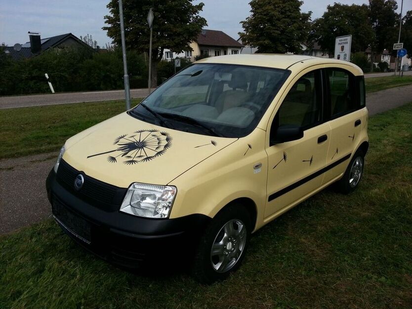 Panda