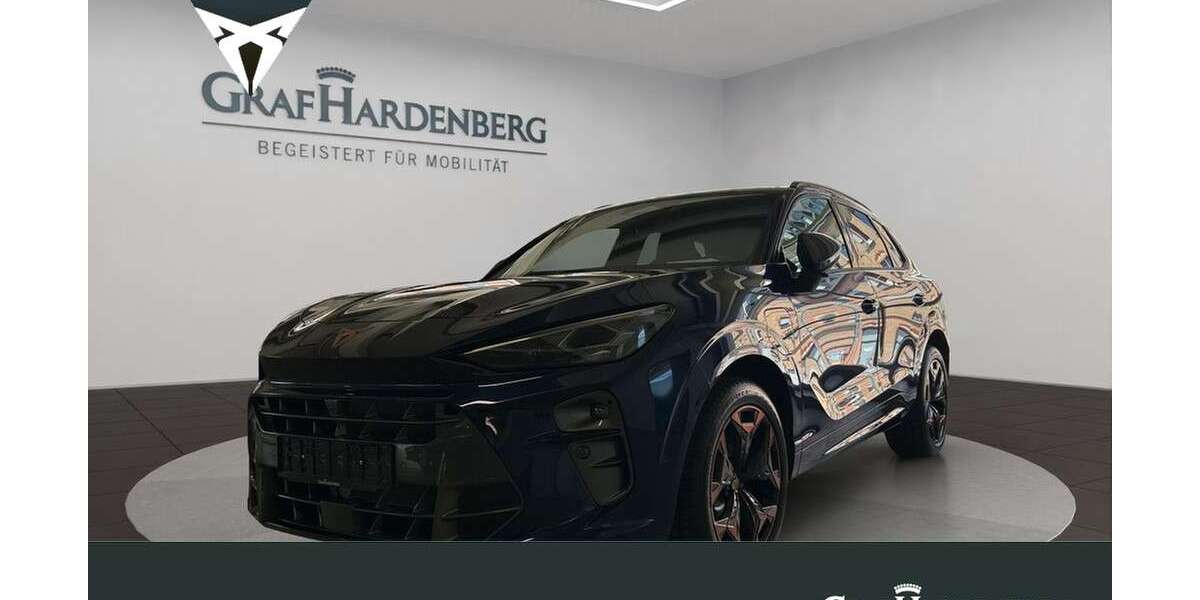 Seat Terra 1.900 km 45.790 &euro; Karlsruhe 76131