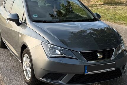 Seat Ibiza 67.000 km 8.490 &euro; Leimersheim 76774