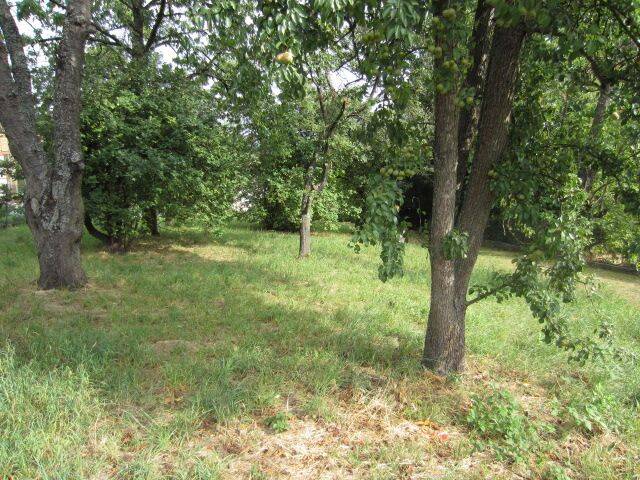 Grundstück Kieselbronn - 415.000&euro; | Angebot:25821176