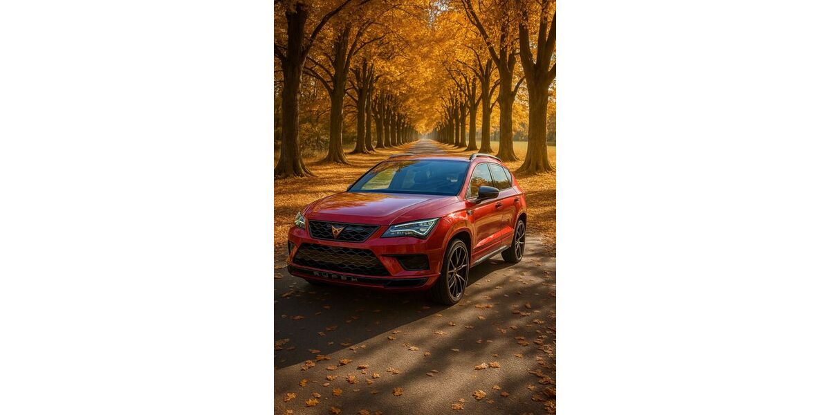 Cupra Ateca 103.000 km 22.500 &euro; Minfeld 76872