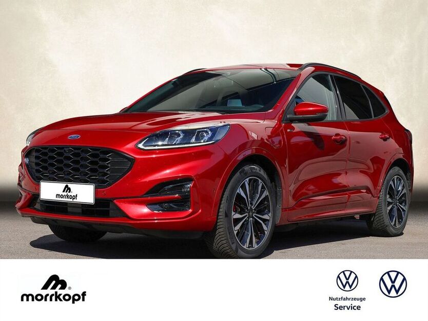 Kuga