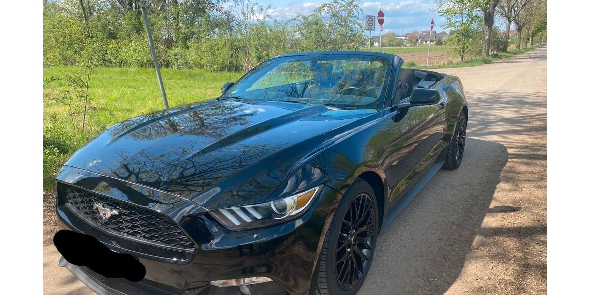 Ford Mustang 43.000 km 28.900 &euro; Minfeld 76872