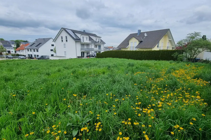 Sonniges Baugrundstück in Birkenfeld - Ruhige Lage im beliebten Wohngebiet 