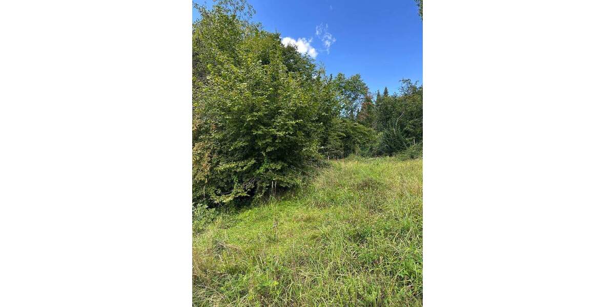 Traumgrundstück zimmer