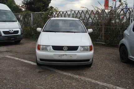 VW Polo
