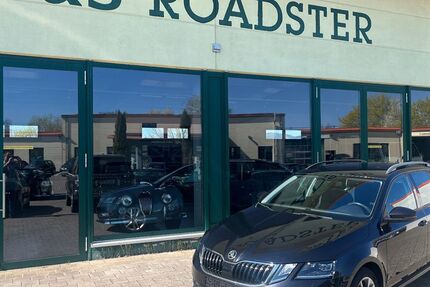 Skoda Octavia 118.650 km 14.499 &euro; Landau 76829