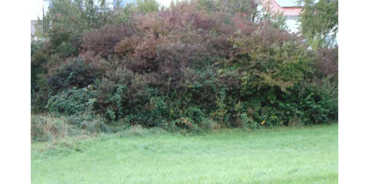 Grundstück Königsbach-Stein Stein - 164.000&euro; | Angebot:22737021