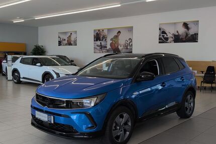 Opel Grandland (X) 45.000 km 20.850 &euro; Landau 76829