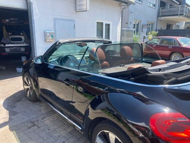 Beetle