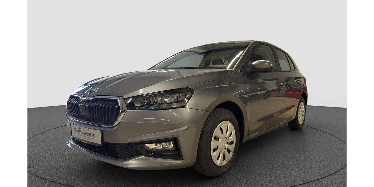 Skoda Fabia 4.000 km 20.290 &euro; Karlsruhe 76131