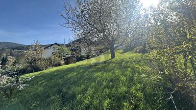 IDYLLE IN NATUR UND STADT - Grundstück Bühlertal | Angebot:27613525