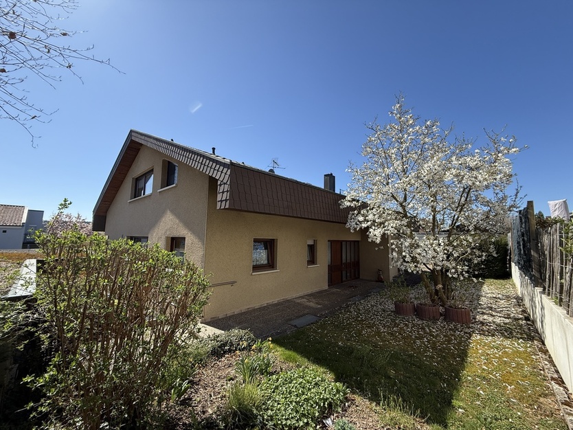 Freistehendes 3-Familienhaus in guter und ruhiger Wohnlage 12 zimmer