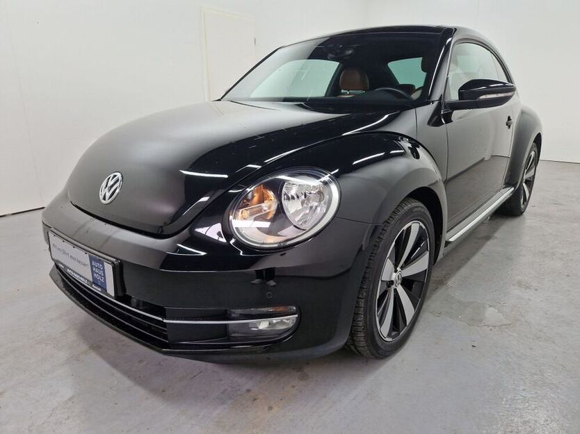 Beetle
